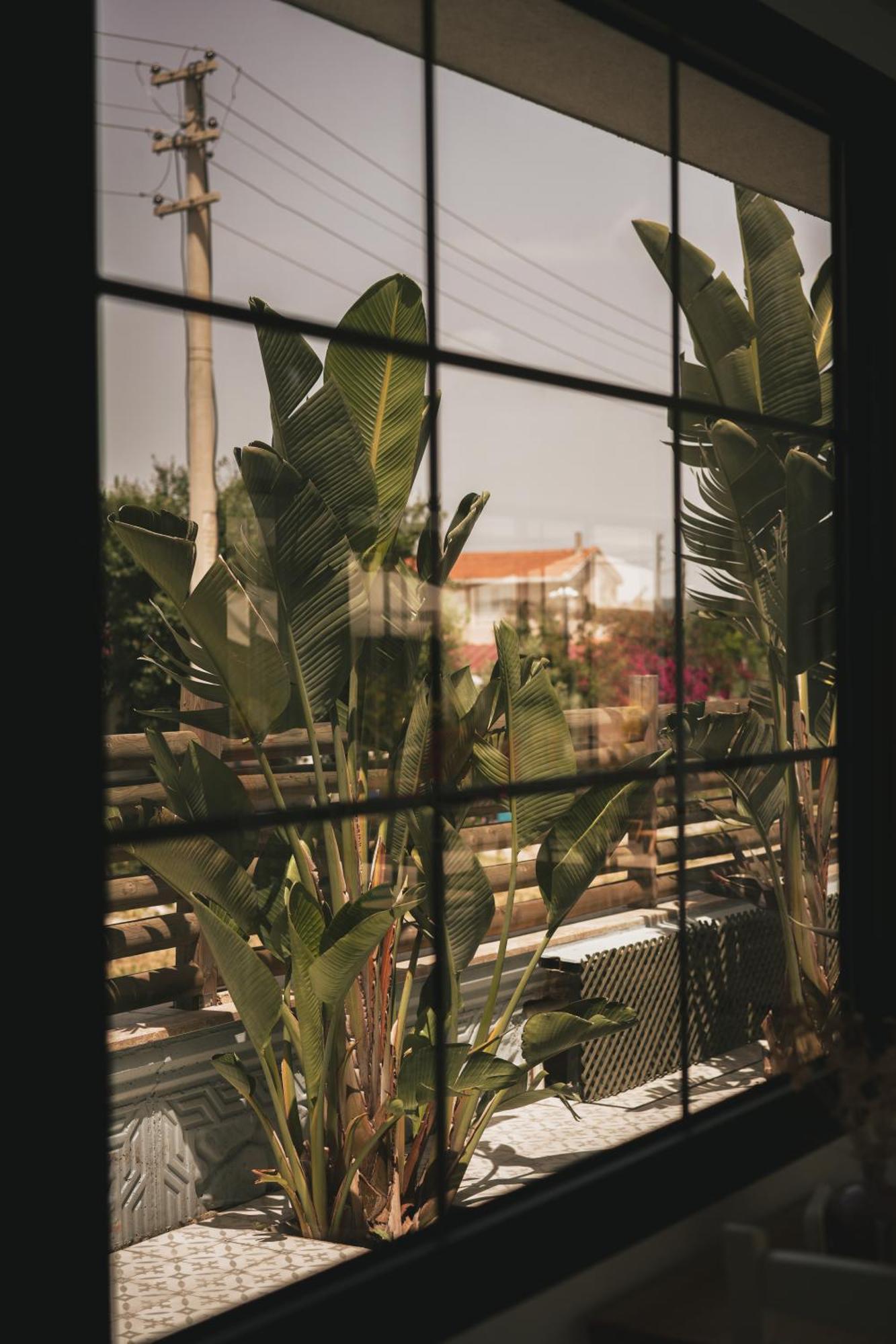 אורלה La Vida Otel מראה חיצוני תמונה